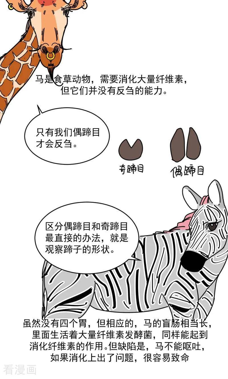 第16话-硬核动物园-咪咕数媒（第34张）