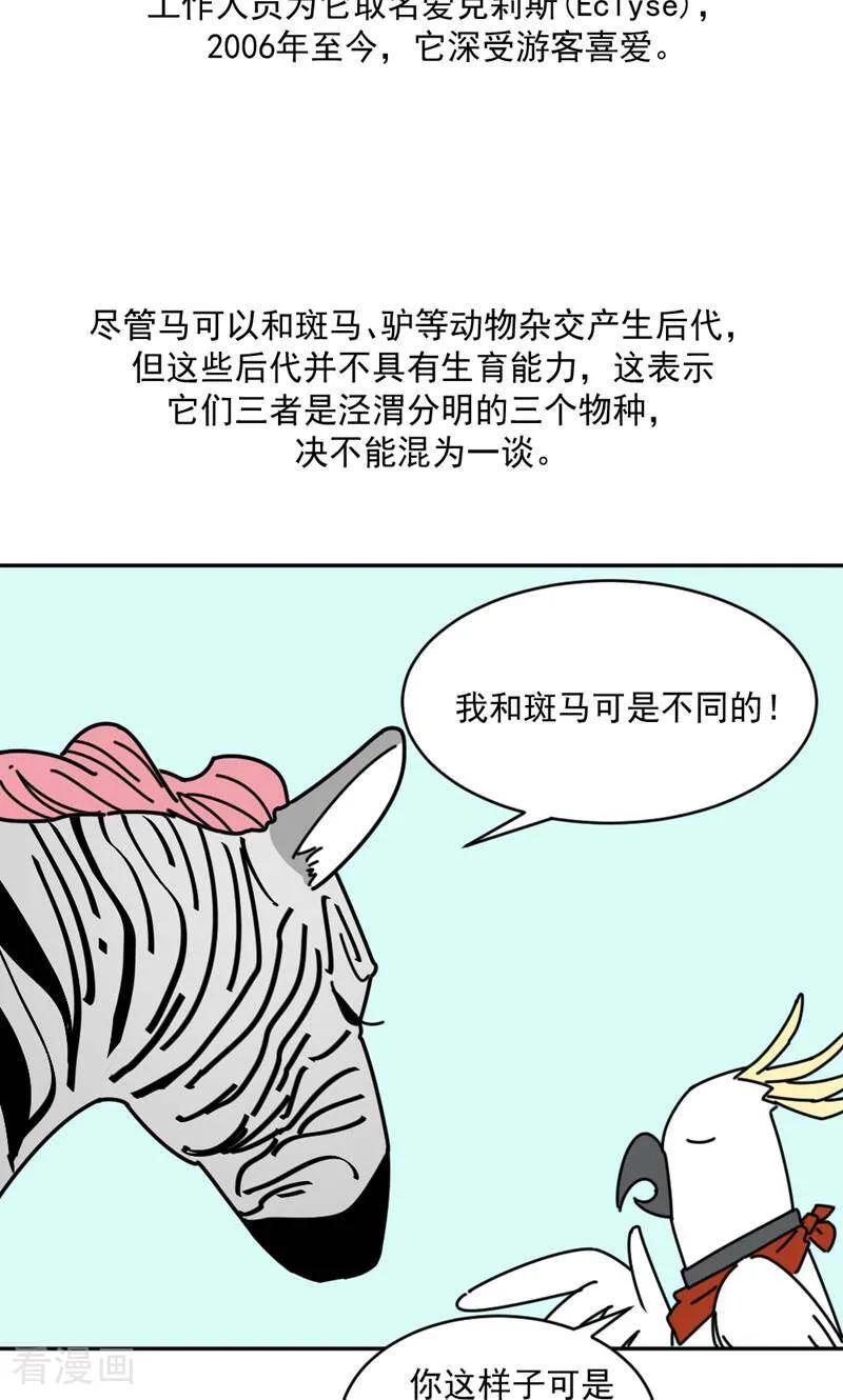第16话-硬核动物园-咪咕数媒（第32张）