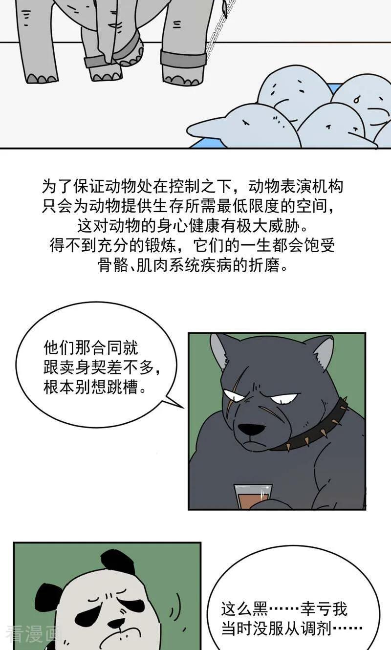 第17话-硬核动物园-咪咕数媒（第32张）