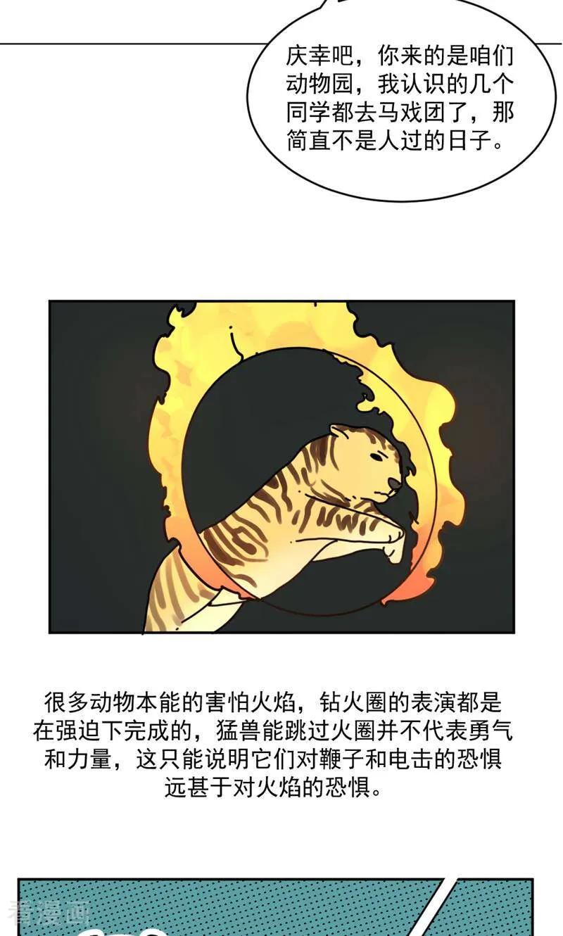 第17话-硬核动物园-咪咕数媒（第30张）