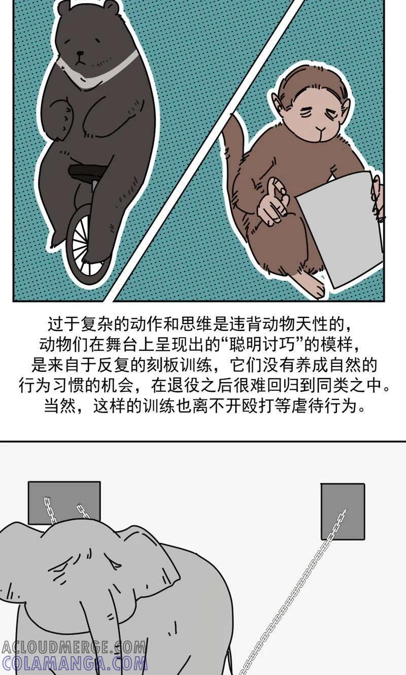 第17话-硬核动物园-咪咕数媒（第31张）