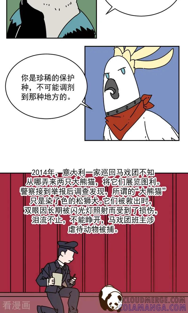 第17话-硬核动物园-咪咕数媒（第33张）