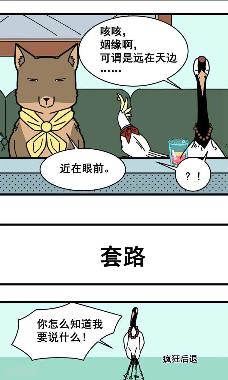 第20话-硬核动物园-咪咕数媒（第12张）
