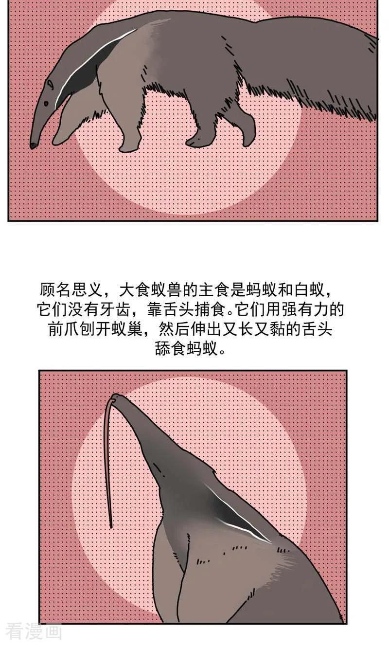 第20话-硬核动物园-咪咕数媒（第30张）