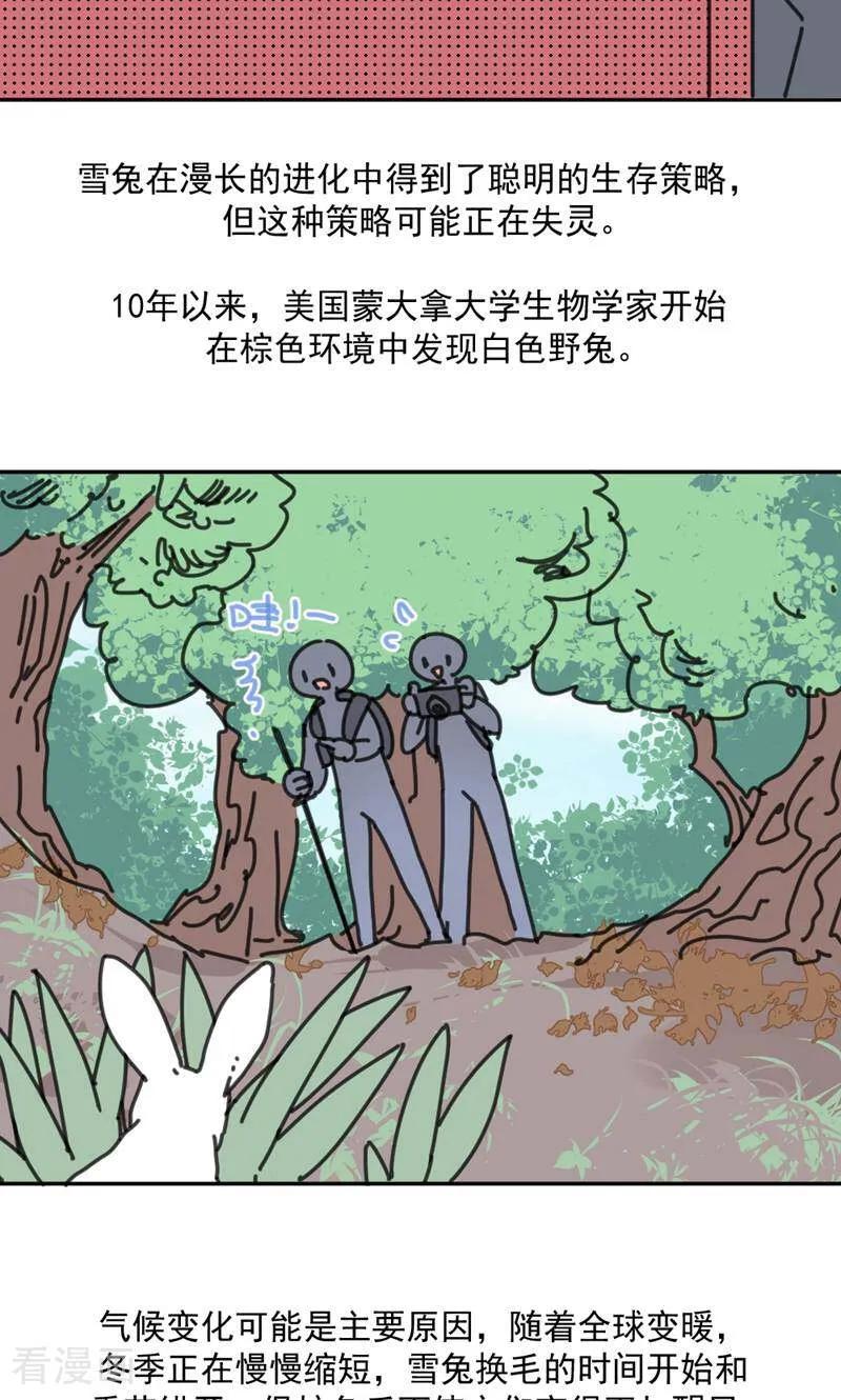 第21话-硬核动物园-咪咕数媒（第32张）