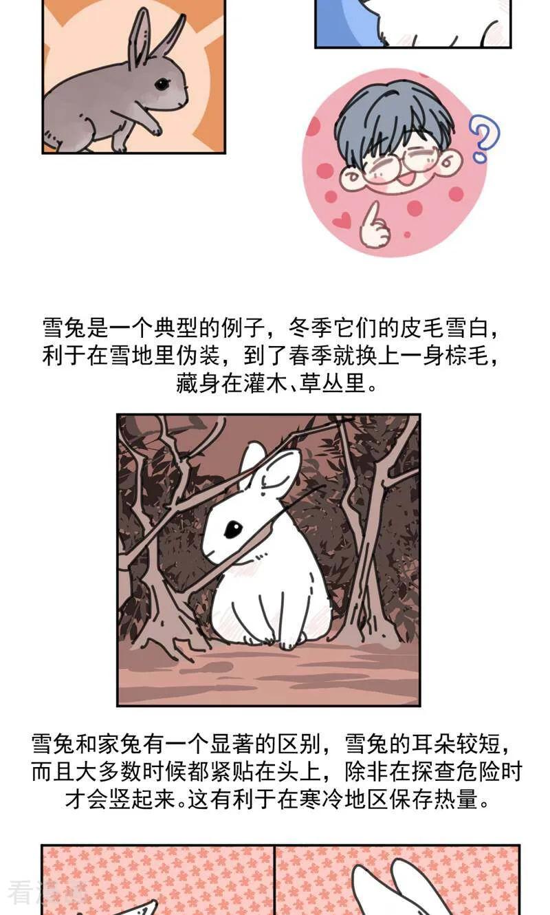 第21话-硬核动物园-咪咕数媒（第30张）