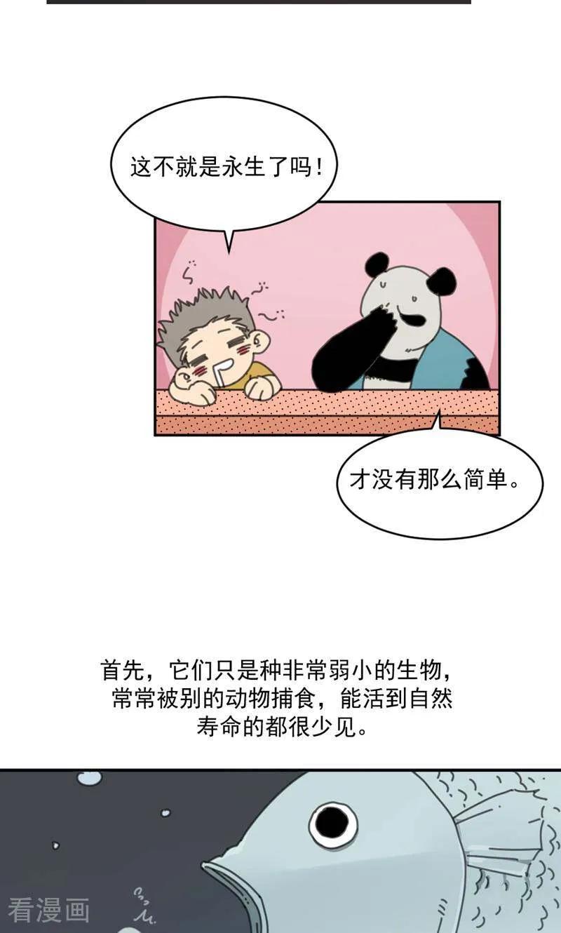 第24话-硬核动物园-咪咕数媒（第32张）