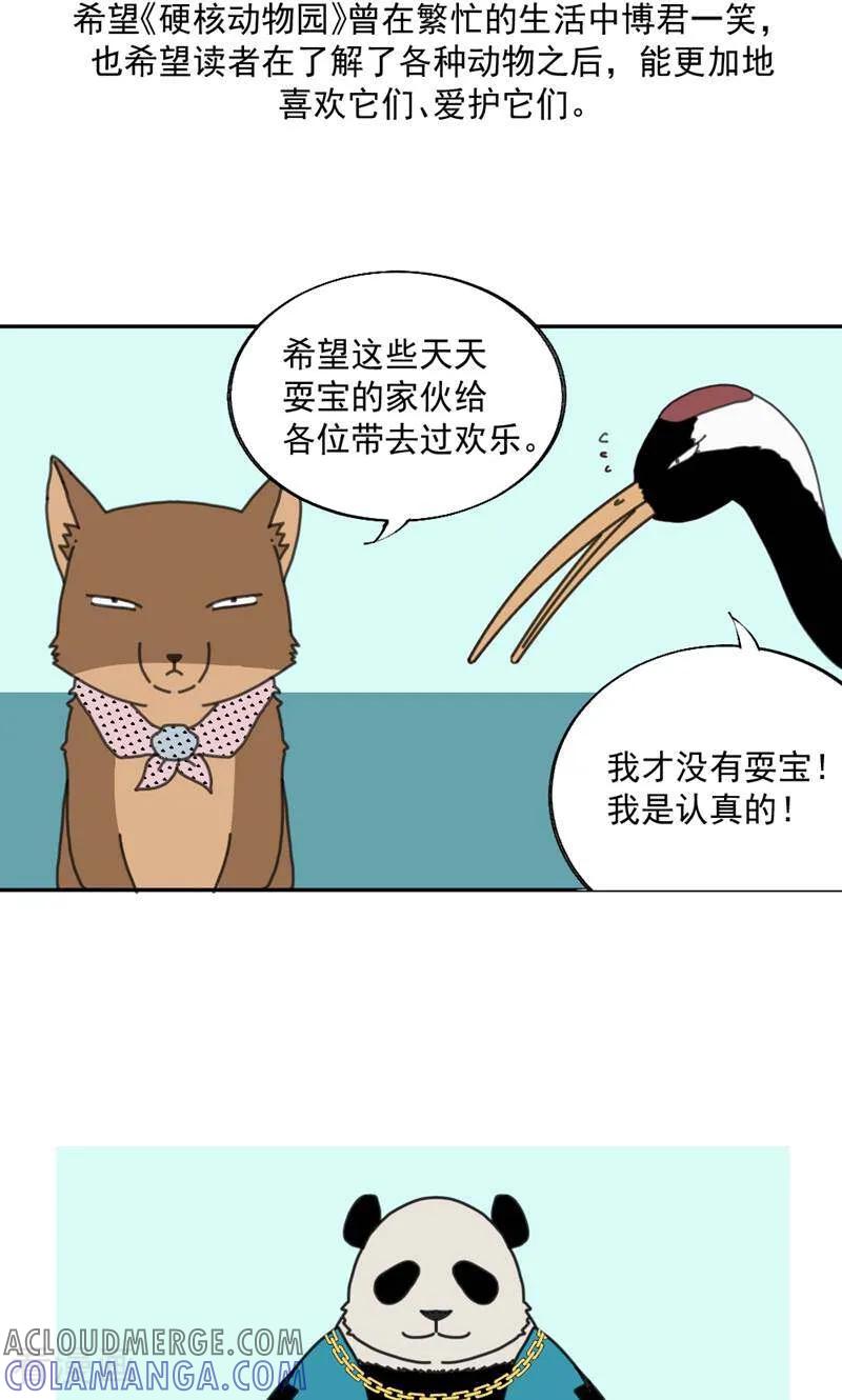 最终话-硬核动物园-咪咕数媒（第31张）