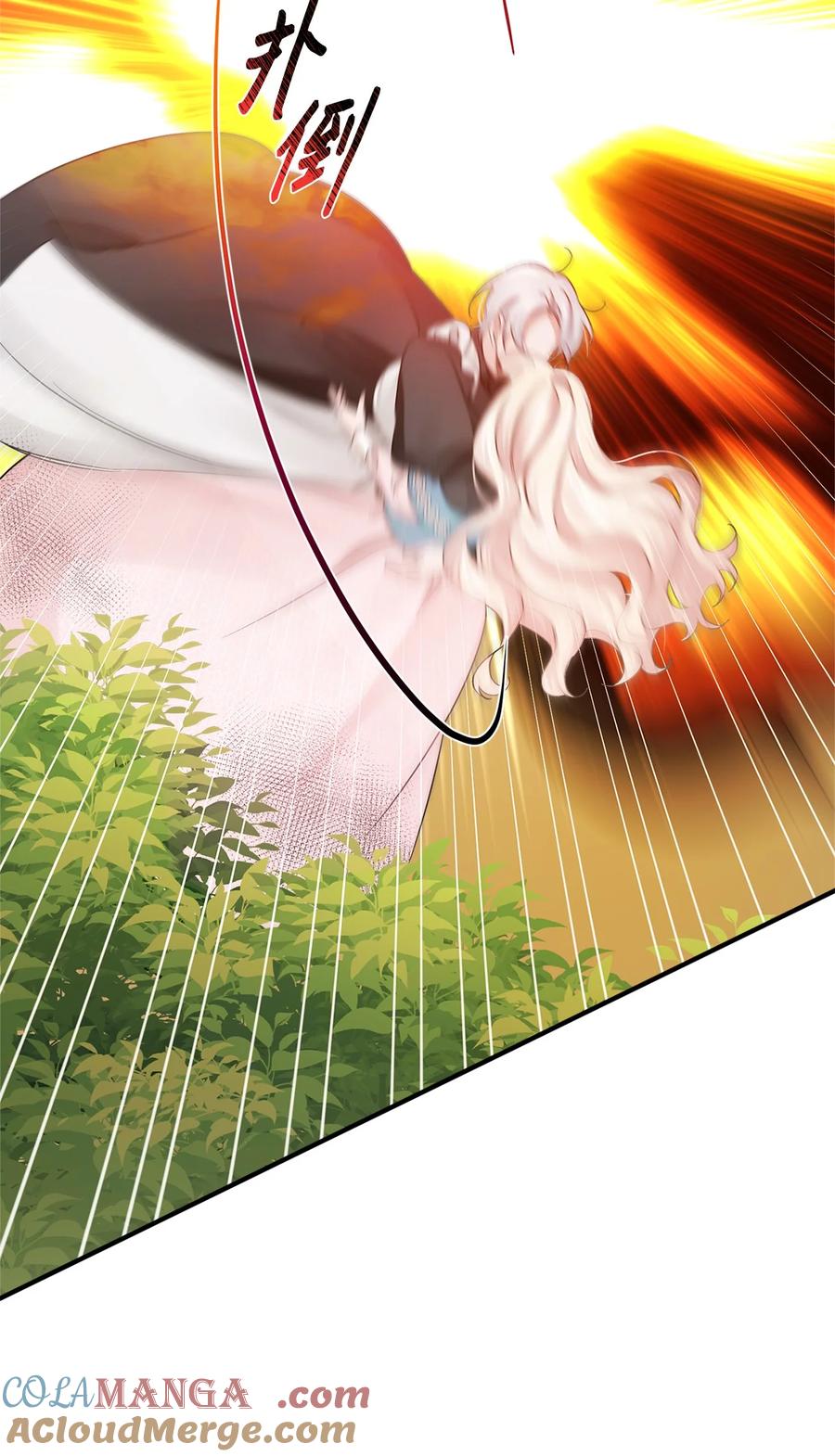 48.jpg