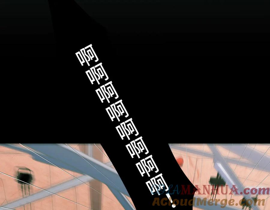 133.jpg