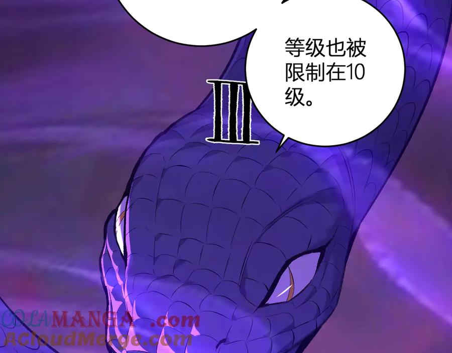 81.jpg