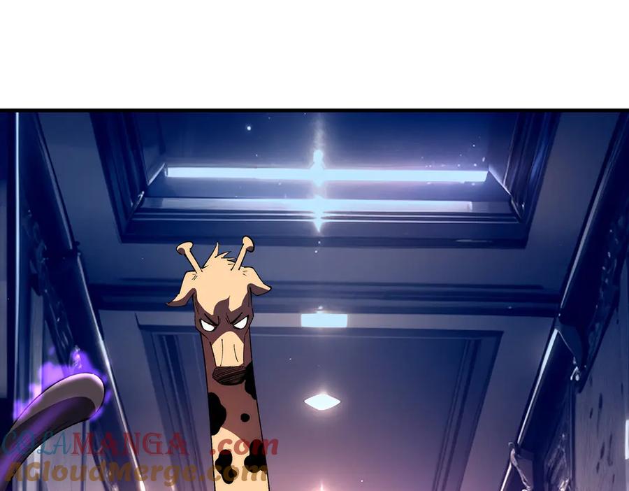 73.jpg