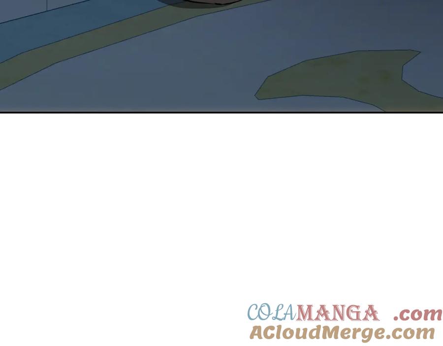 241.jpg