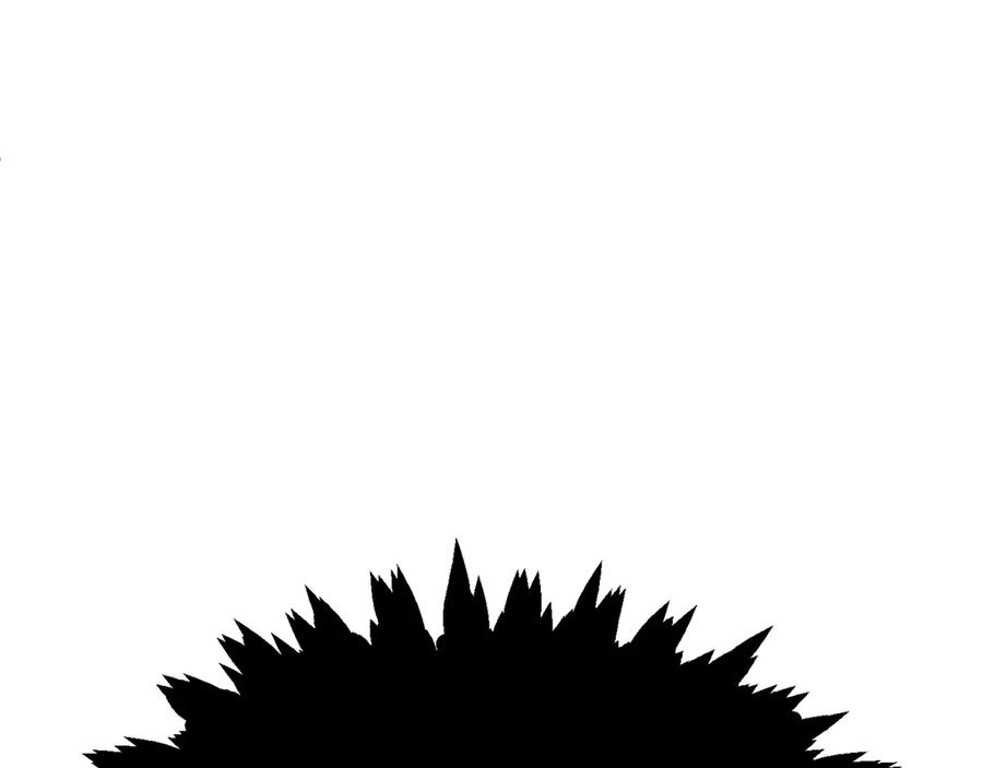 244.jpg