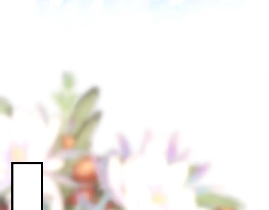 244.jpg