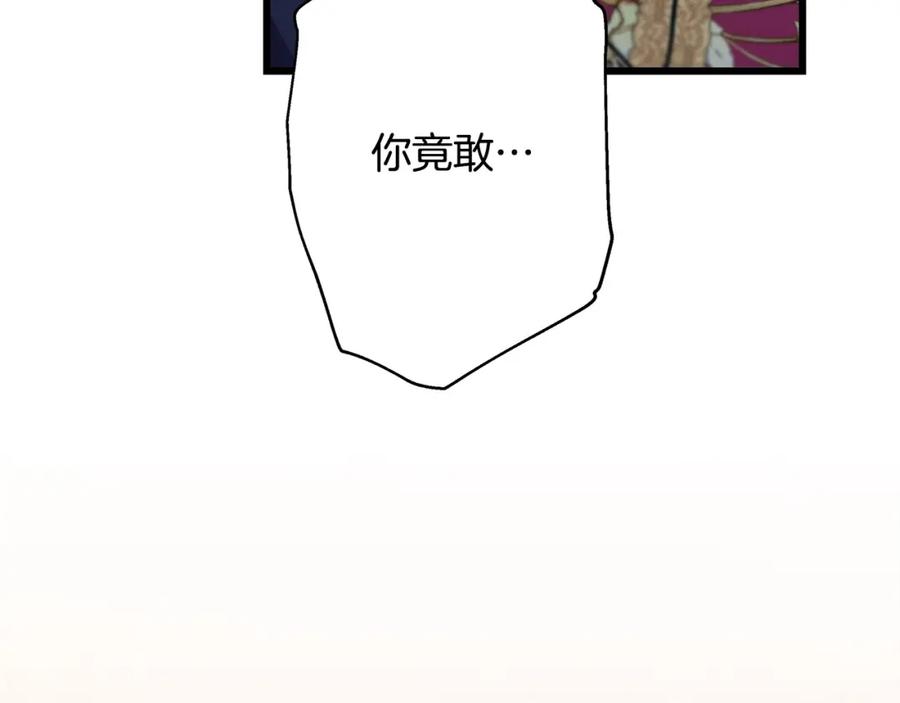 338.jpg