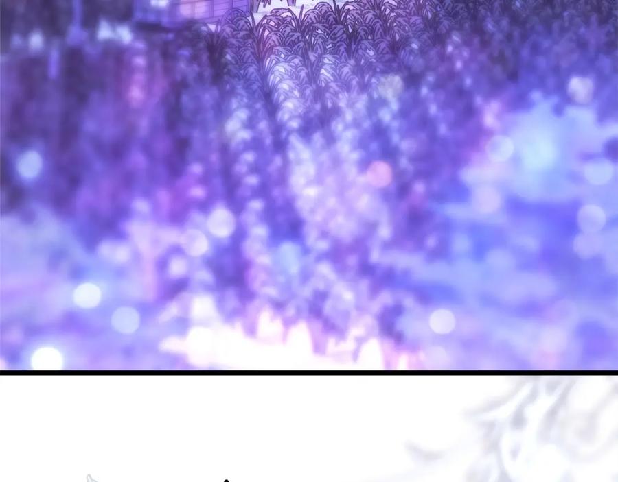 244.jpg