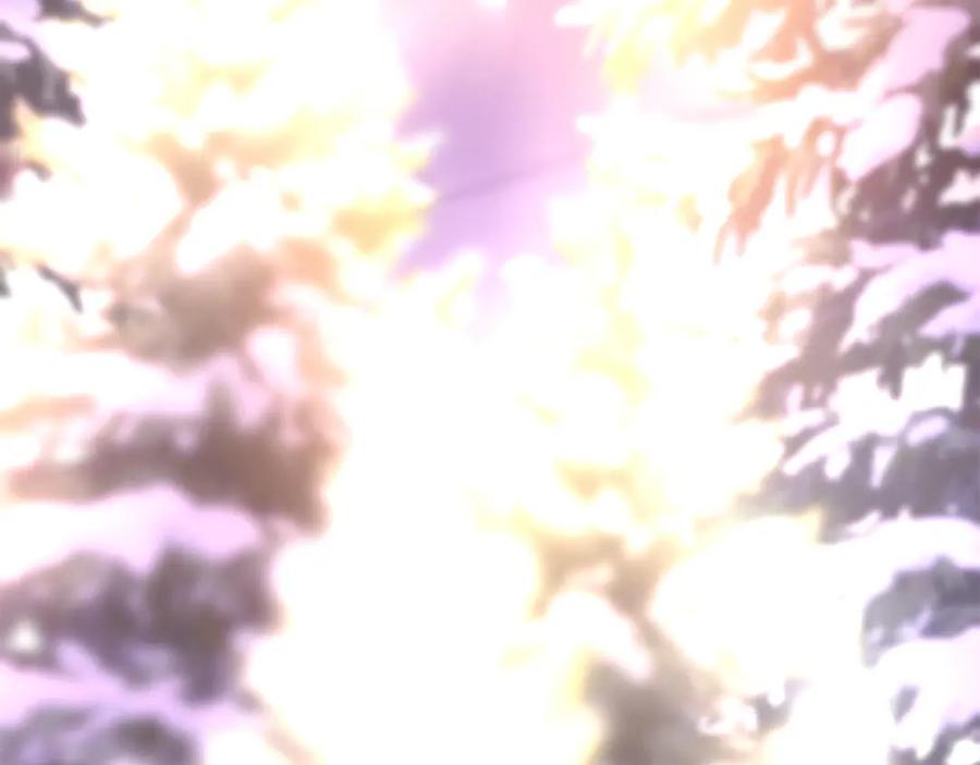 270.jpg