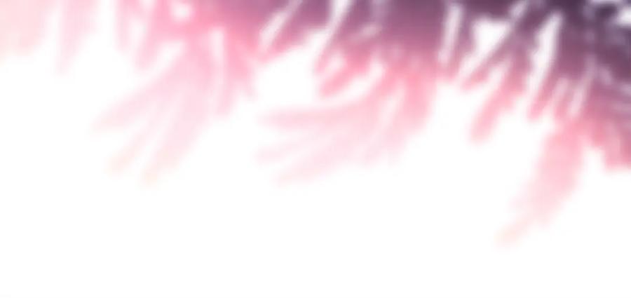 263.jpg