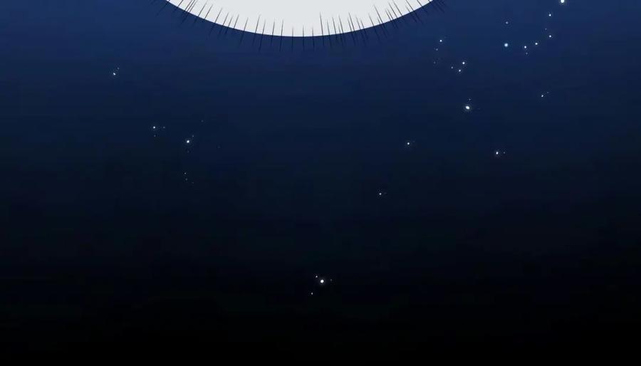 95.jpg