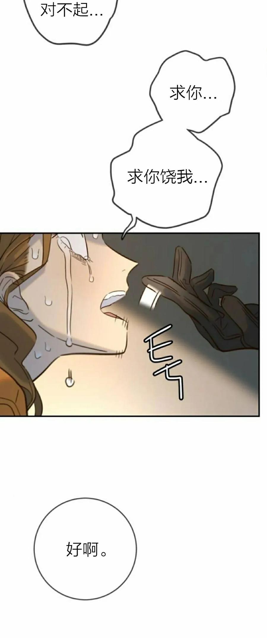 60.jpg