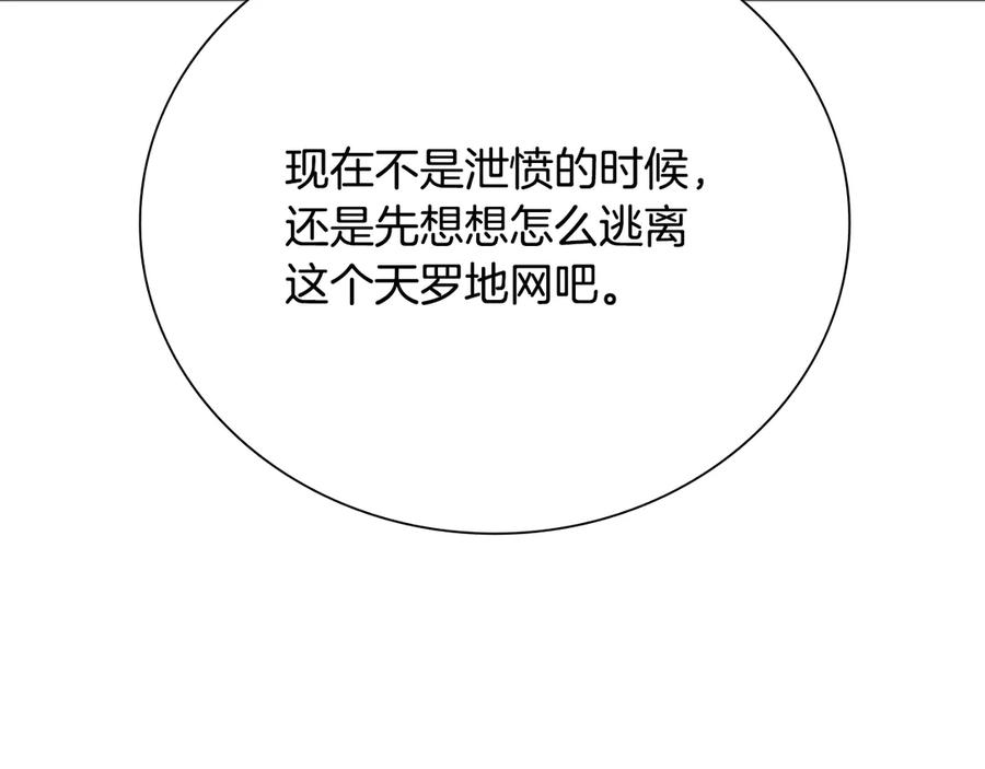 196.jpg