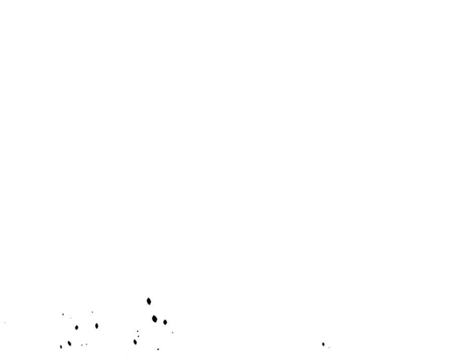 211.jpg