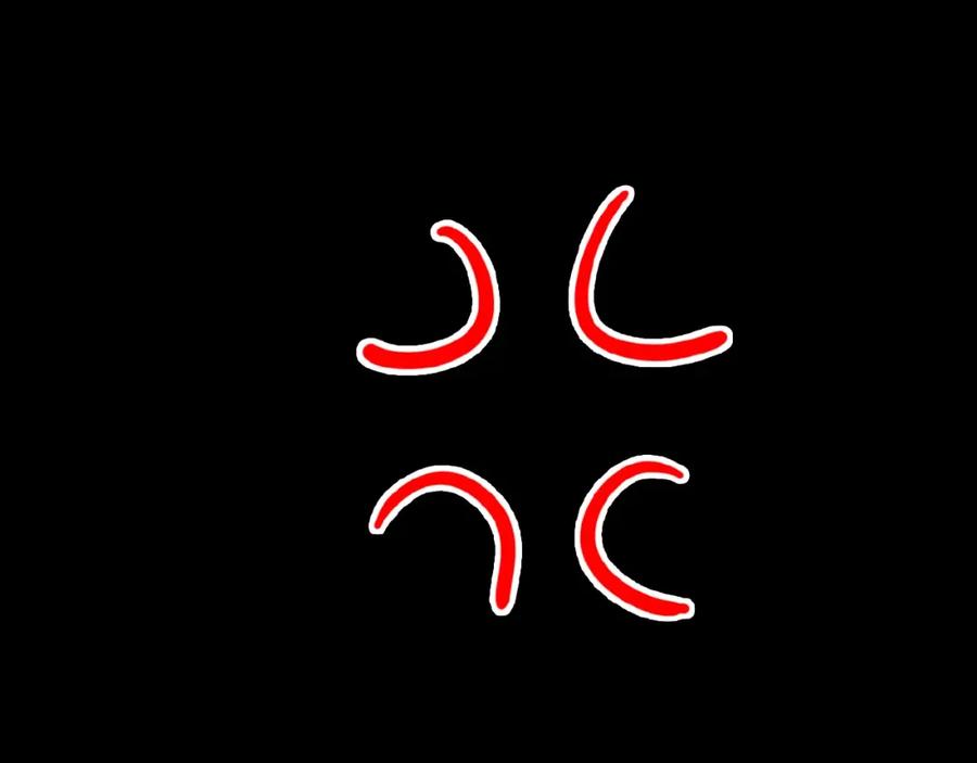 167.jpg