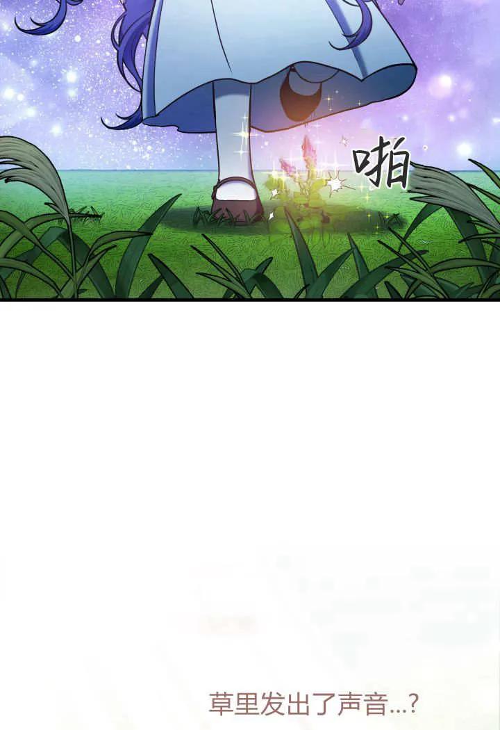 81.jpg