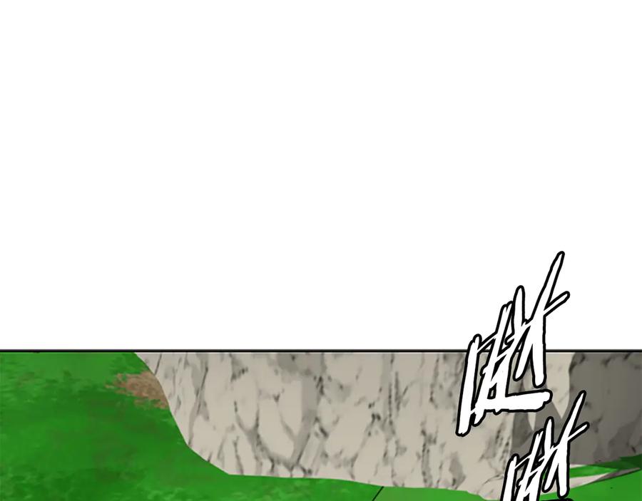 231.jpg