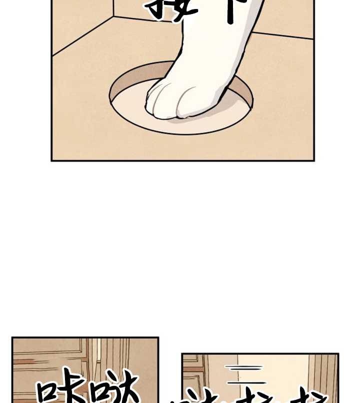 48.jpg
