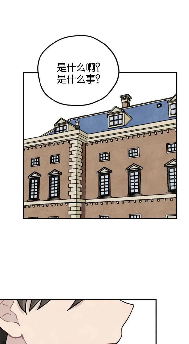 62.jpg