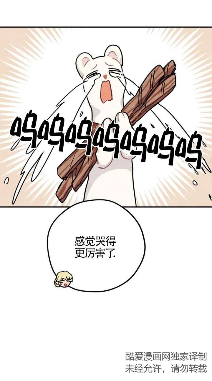 47.jpg