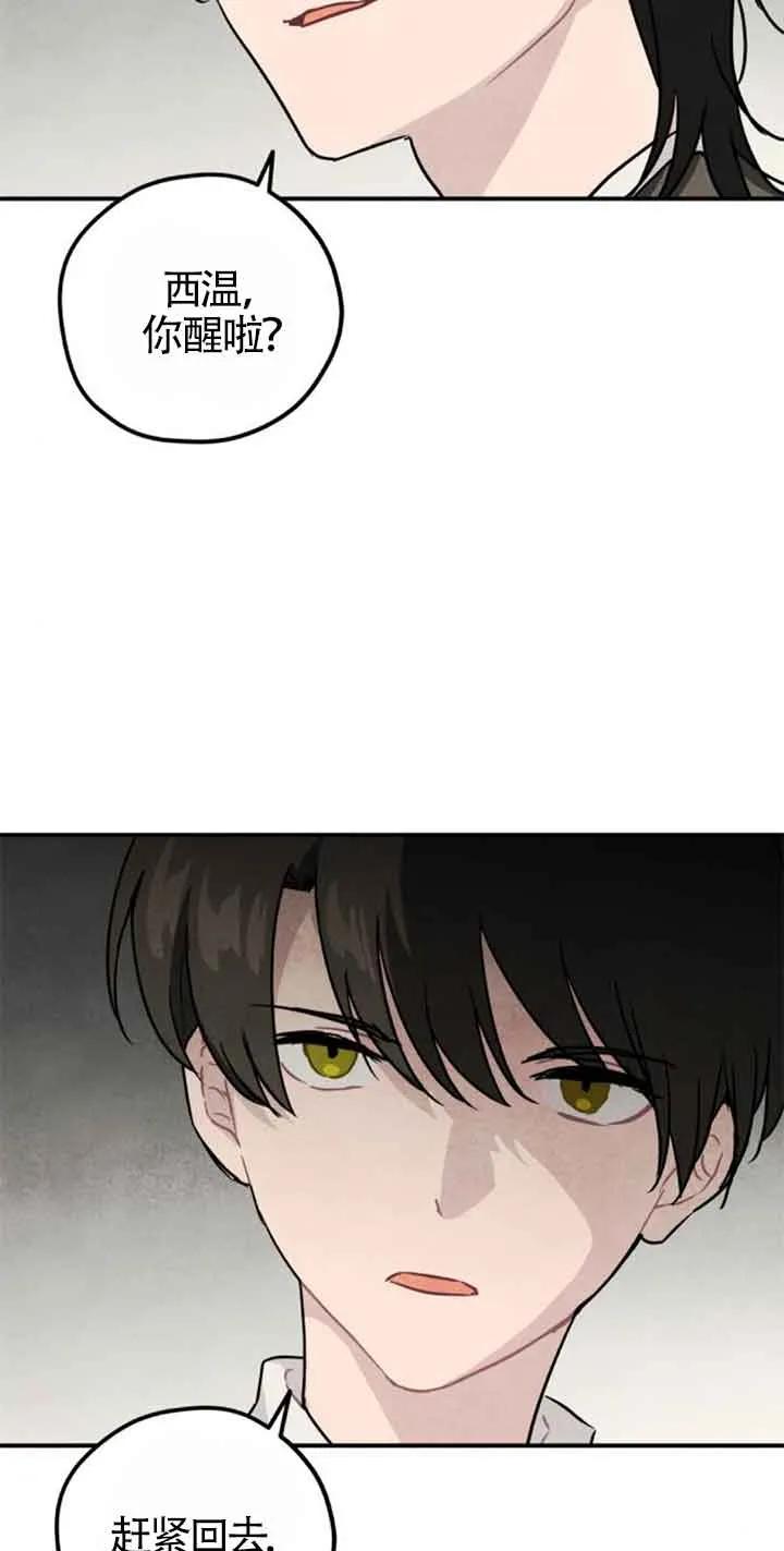51.jpg