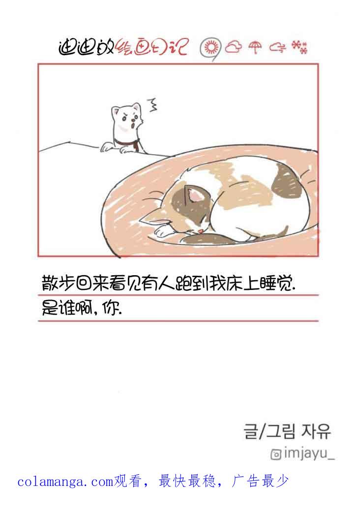 80.jpg