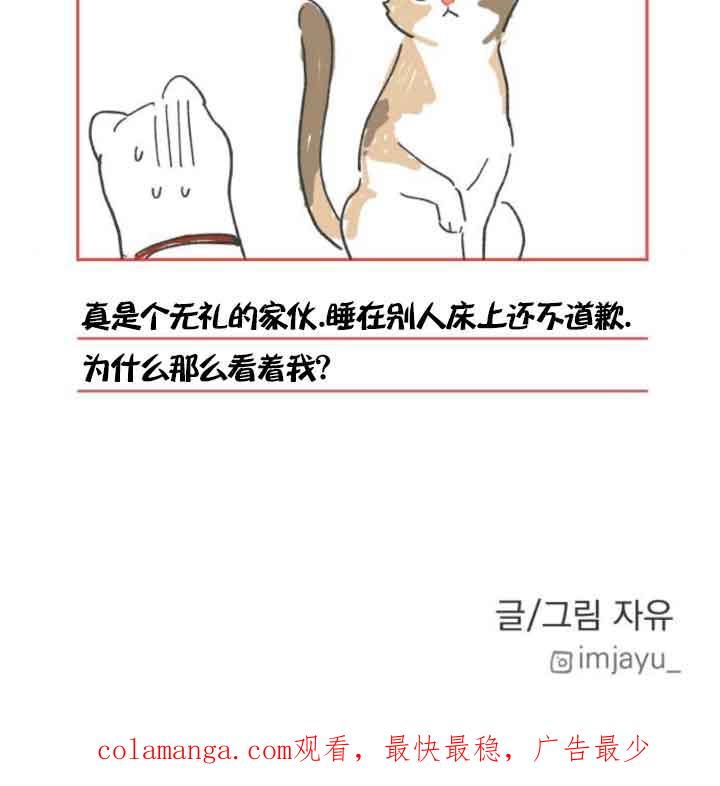 79.jpg