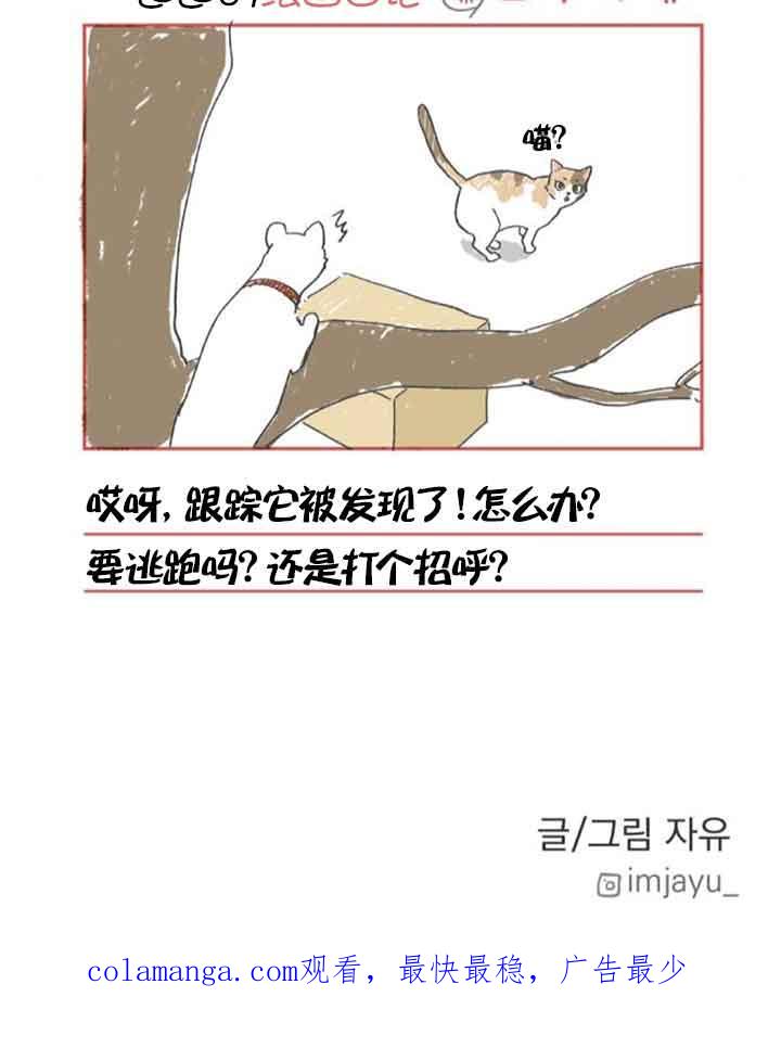 66.jpg