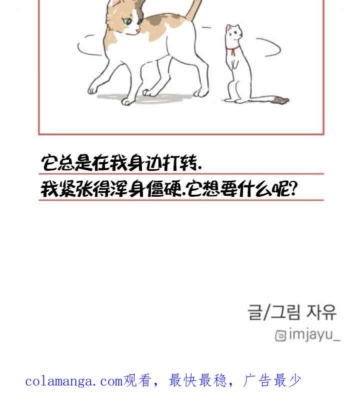 80.jpg