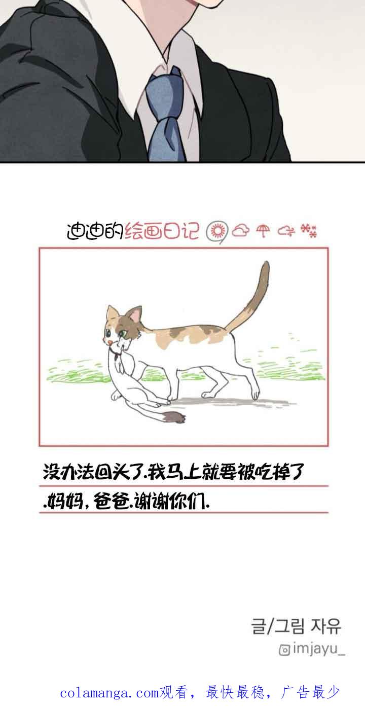 60.jpg