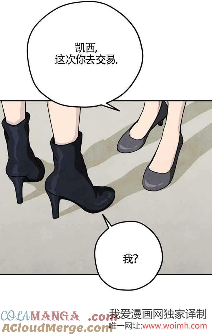 43.jpg