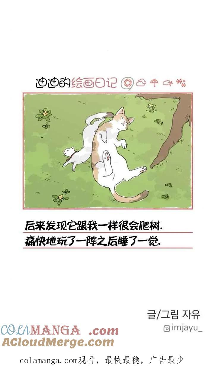 61.jpg
