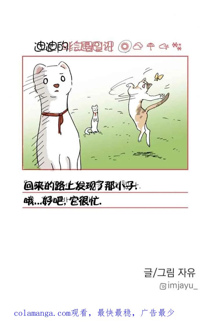 81.jpg