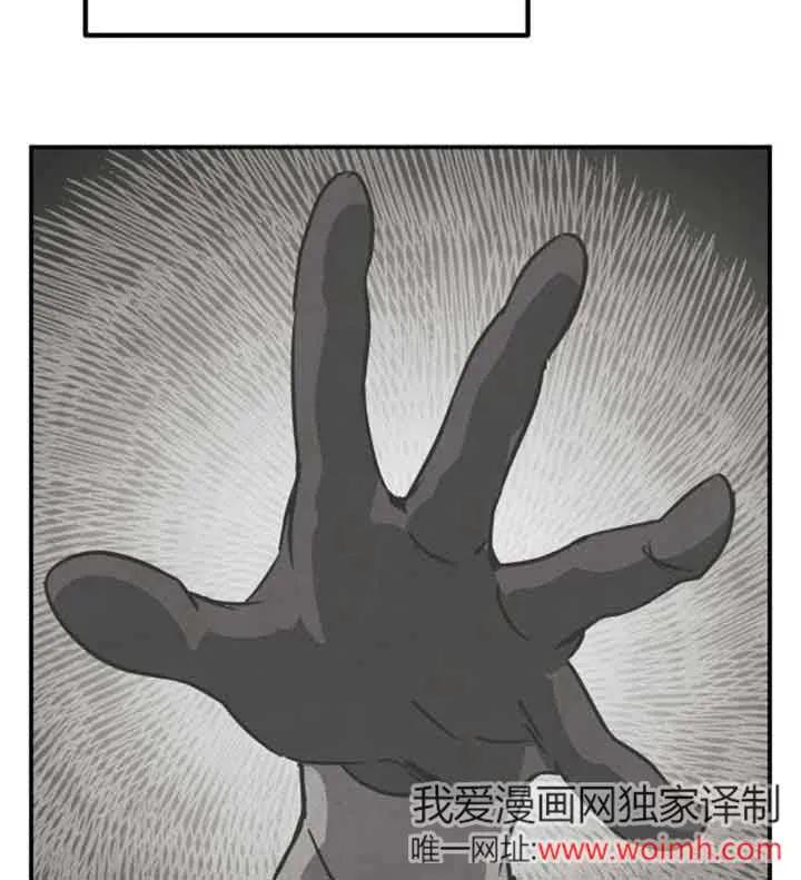48.jpg