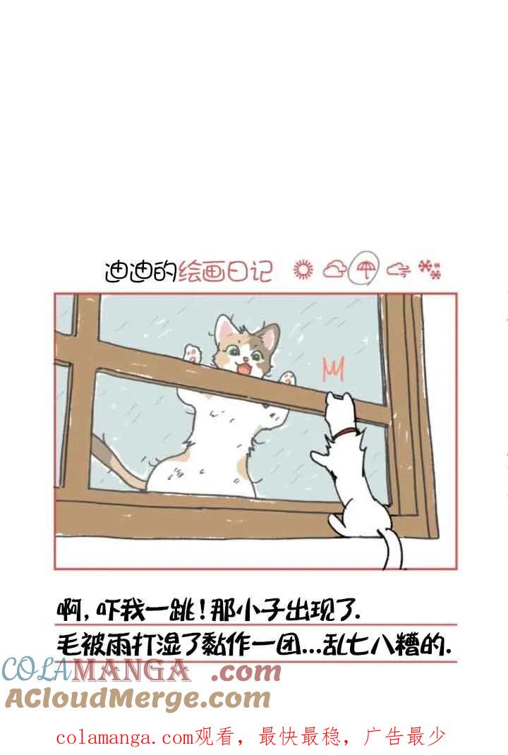 91.jpg
