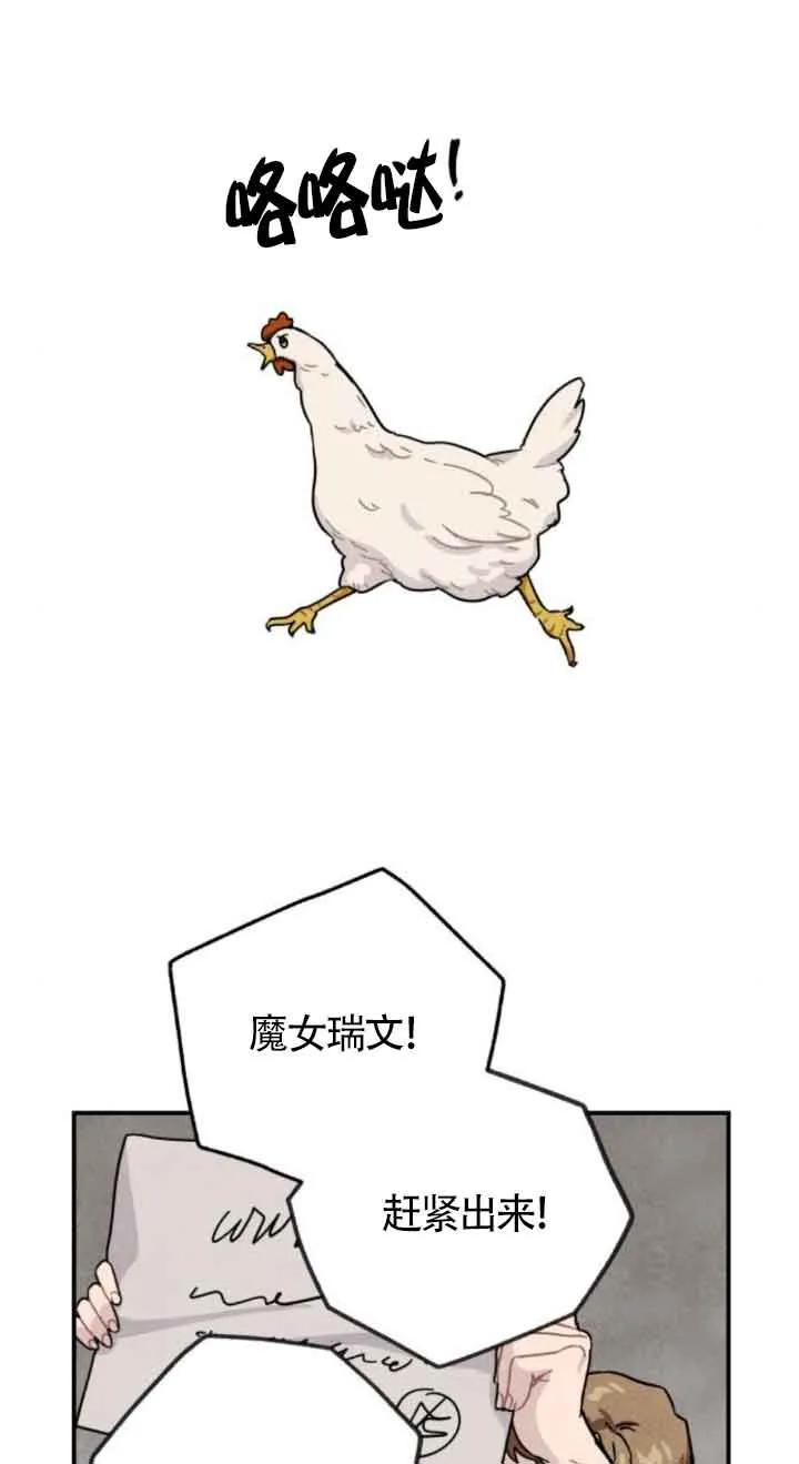 47.jpg