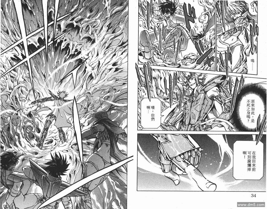 第8卷-圣斗士星矢 冥王神话-手代木史织（第17张）
