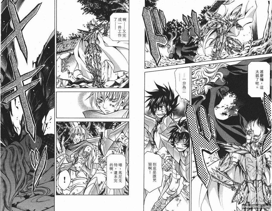 第8卷-圣斗士星矢 冥王神话-手代木史织（第11张）