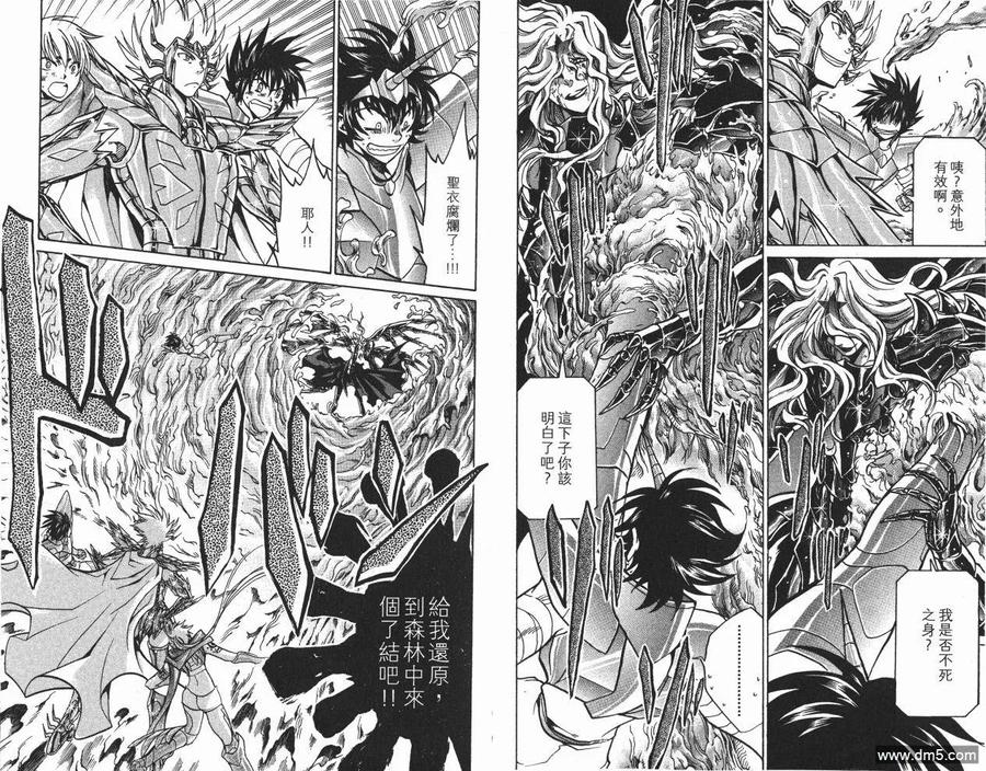 第8卷-圣斗士星矢 冥王神话-手代木史织（第16张）