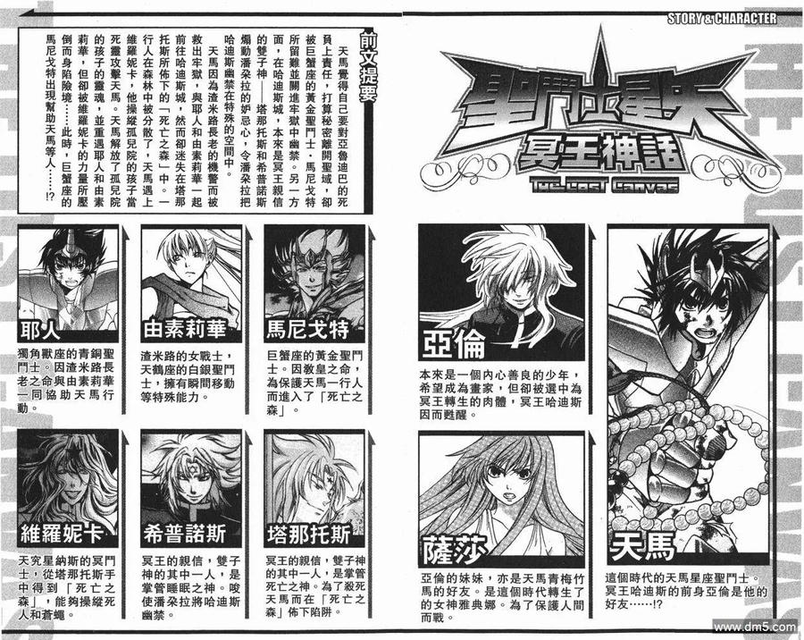 第8卷-圣斗士星矢 冥王神话-手代木史织（第2张）