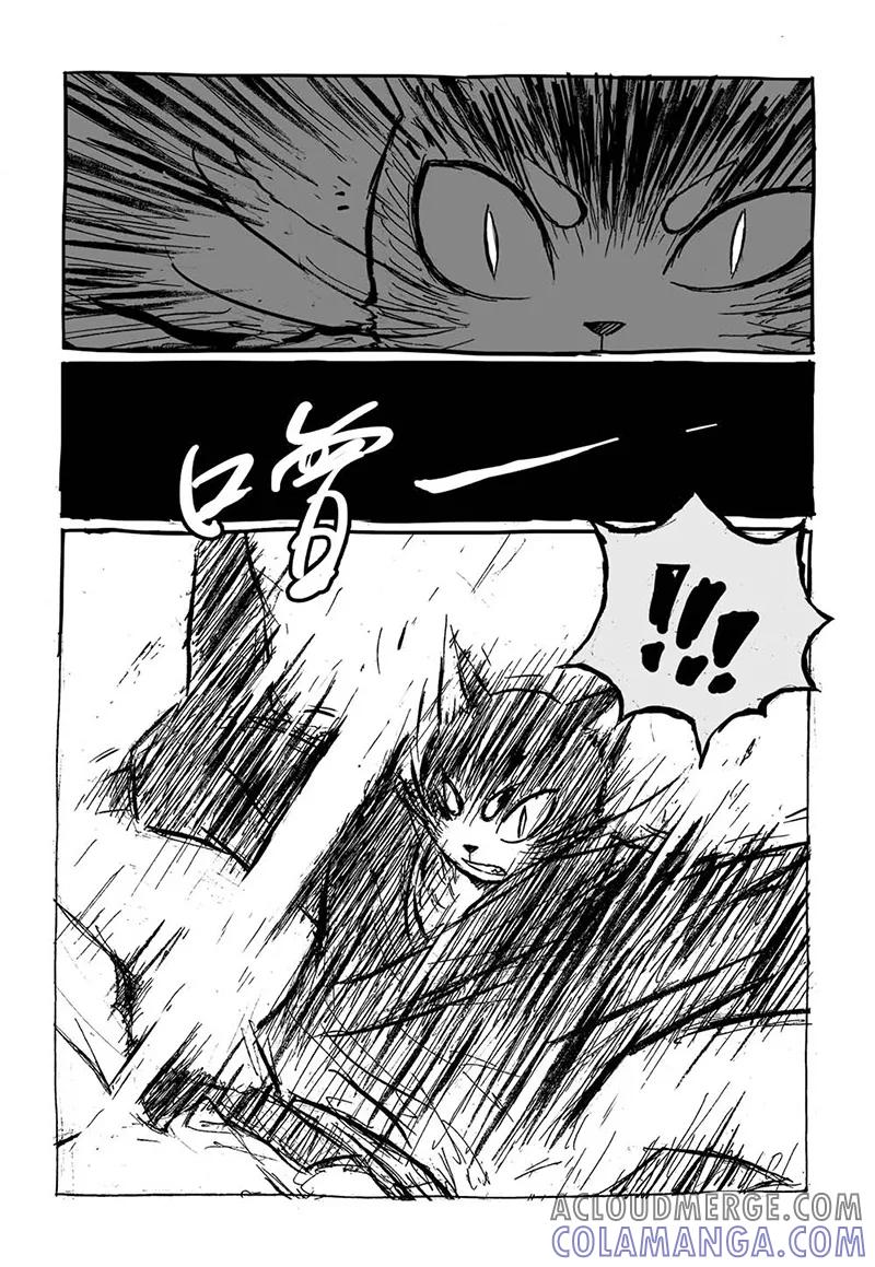第5话1猫妖VS术士-猫狐恼-新漫画（第6张）